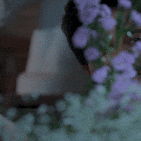 Peek-A-Boo Hello GIF by Hope Productions