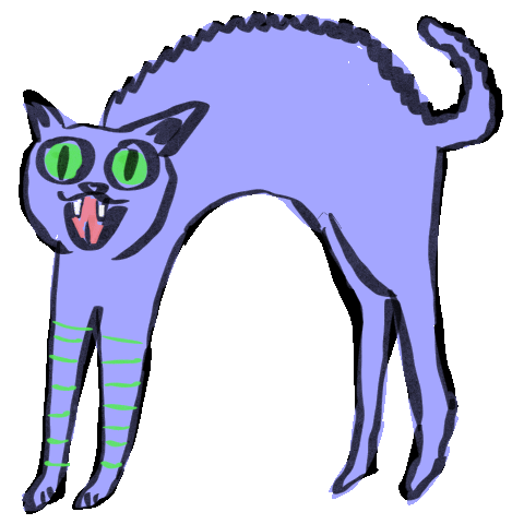 Shocked Cat Sticker by Vienna Pitts