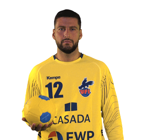 Ball Handball Sticker by 1. VFL Potsdam