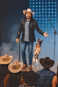Dog Show GIF by Dalvan Ferraz