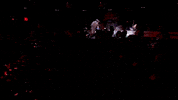 NewYorkRiptide new york lacrosse nll riptide GIF
