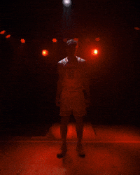 Badgers Basketball GIF by Wisconsin Badgers