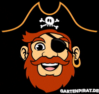 gartenpirat pirate pirat gartenpirat GIF