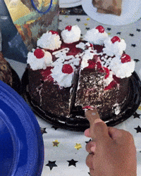 Celebrating Happy Birthday GIF