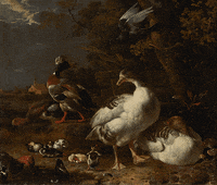 Dance Dancing GIF by GIF IT UP