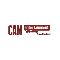 camentertainment princeoftricks camiel hemminga Sticker