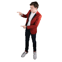 camentertainment princeoftricks camiel hemminga Sticker