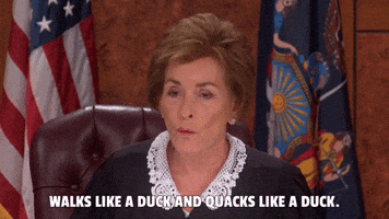 It's A Duck