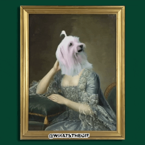 whatsthegif giphygifmaker animal bored cantwait GIF