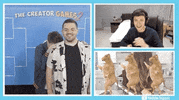 Mr Beast Tournament GIF by YouTube