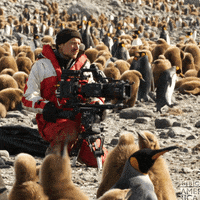 Behind The Scenes Wildlife GIF by BBC America