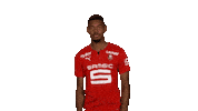 Lets Go Yes Sticker by Stade Rennais F.C.
