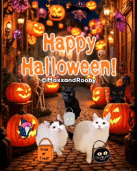 Halloween Cats GIF