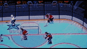 chicago blackhawks hockey GIF by MIRAMAX
