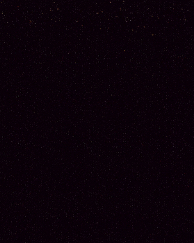 Valentines Day Love GIF by We Set The Standards
