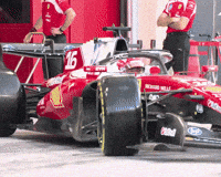 Charles Leclerc F1 GIF