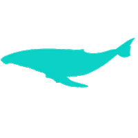 Ocean Sea Sticker by Worldrise_Onlus