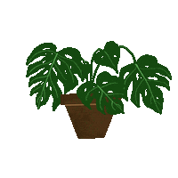 katemichelledesign green plant waving monstera Sticker