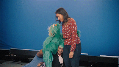 Sesame Street Muppets GIF by ABC Network