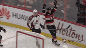 ottawa senators hockey GIF by NHL