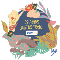 International Womens Day Sticker by Lider Chile