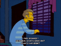 season 8 principle skinner GIF