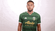 portland timbers wink GIF by Timbers