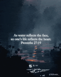 Night Time Study GIF by Evan Hilton