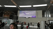 GIF by Wingo