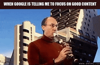 seowl_app seo seowl GIF