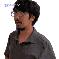 12 Damage Sticker