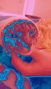 Ryo GIF