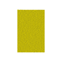 JamesSmithPT james confident confidence smith Sticker