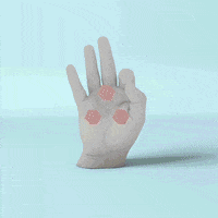 ky GIF