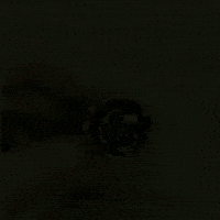 Flower Jewelry GIF by fascinante Semijoias