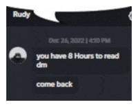 Kitten Discord GIF