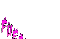 Music Festival Summer Sticker by Beach Day Every Day