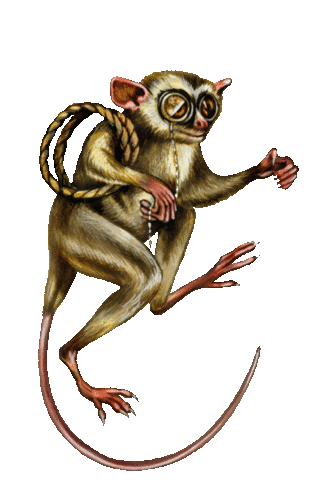 Chin Chin Drinking Sticker by Don Papa Rum