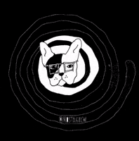 nostxlgicm love aesthetic gato nostalgia GIF