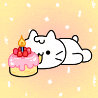 Birthday Cake Cat GIF by Mikitti