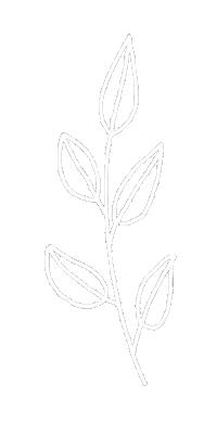 Plant Leaves Sticker