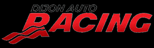 _autoracing car automobile dijon auto racing GIF