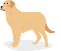 Dog Doggie Sticker by Barkibu