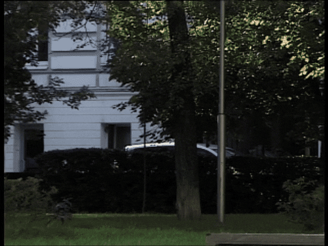 oktyabrskateshop giphygifmaker GIF