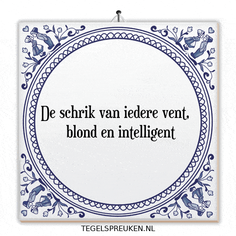 Nl Spanning GIF by Tegelspreuken.nl