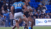Wests Tigers GIF