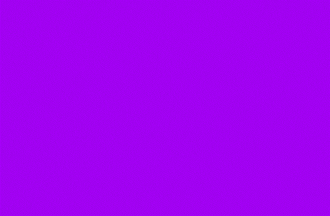 laislaudari giphyupload GIF