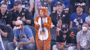 Super Bowl Football GIF by NFL