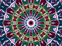 Kaleidosaturday GIF by bbqshoes