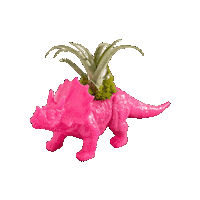 atmosphaera pink plant dinosaur hotpink Sticker